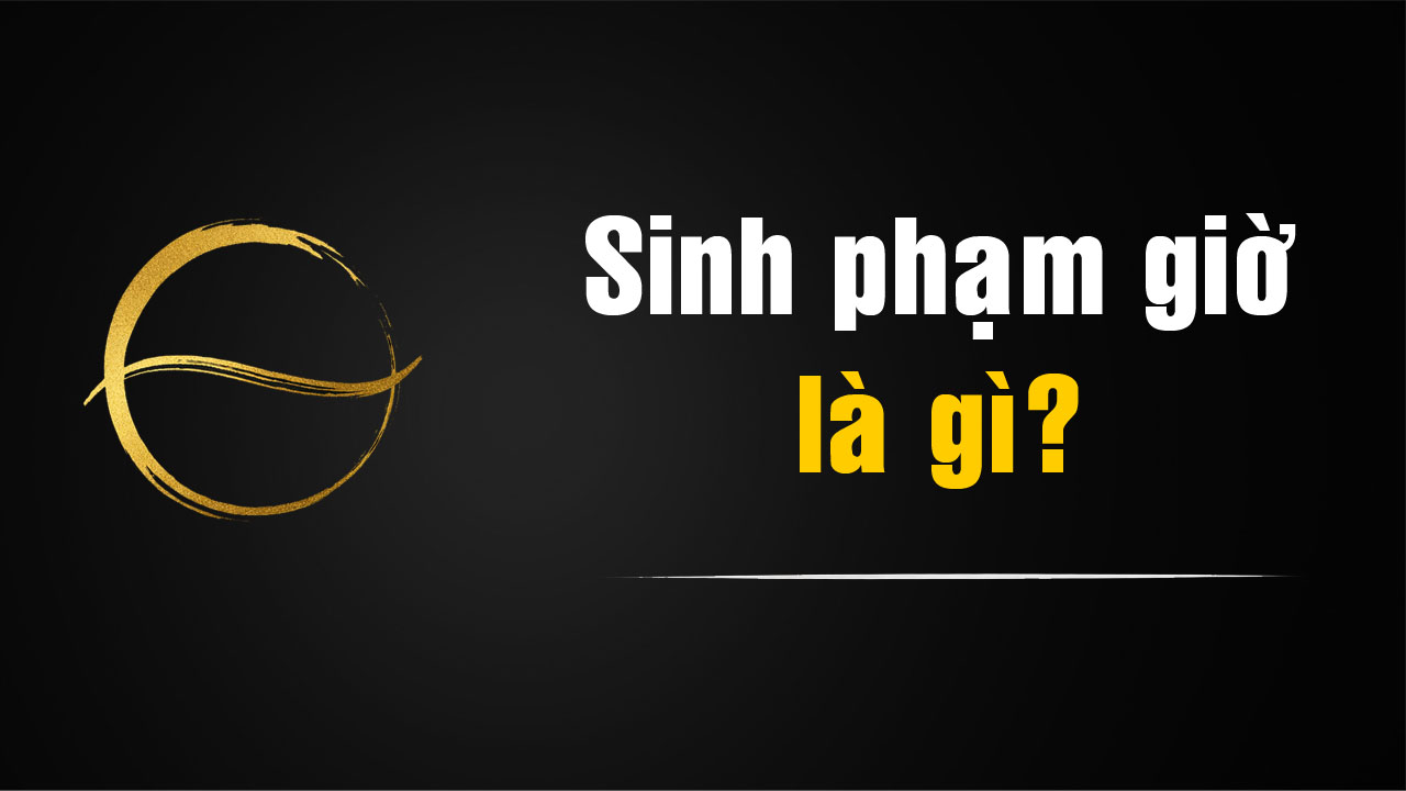 [video]Sinh phạm giờ