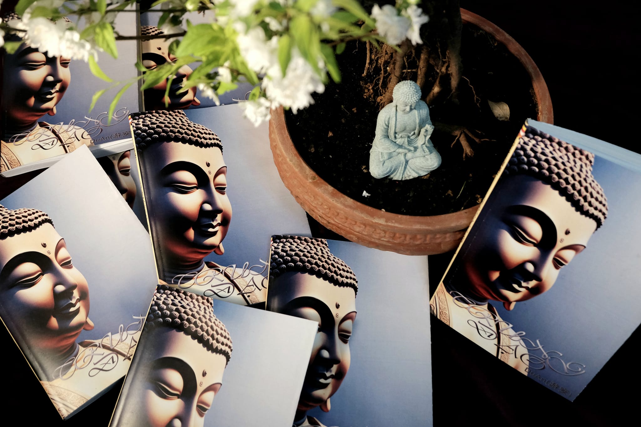 Trung Đạo – Giải quyết mọi vấn đề về cuộc sống trên nền tảng Phật học.