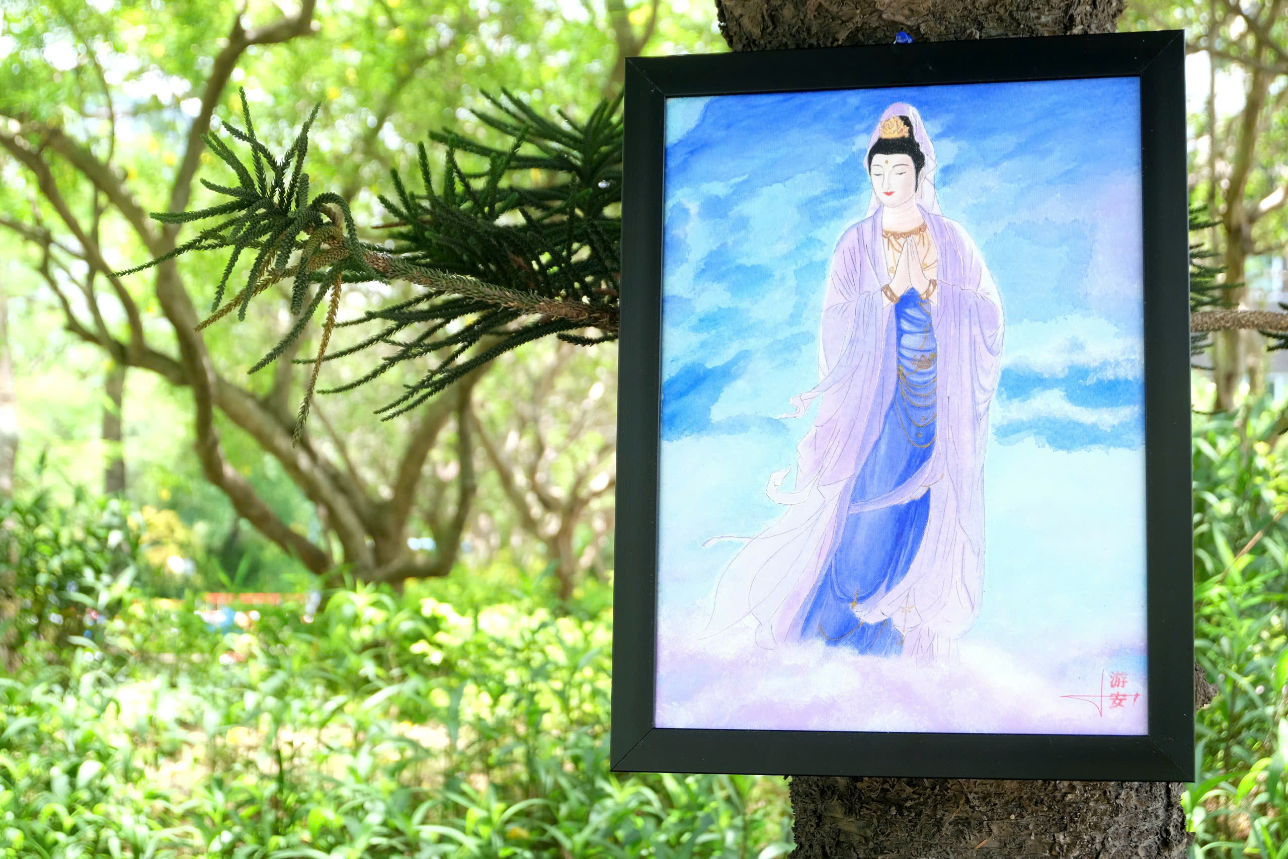 Tịnh Tâm Hướng Nguyện