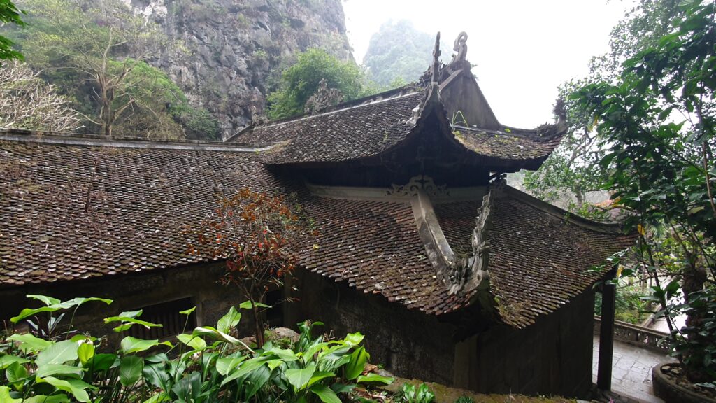 VideoCapture 20260302