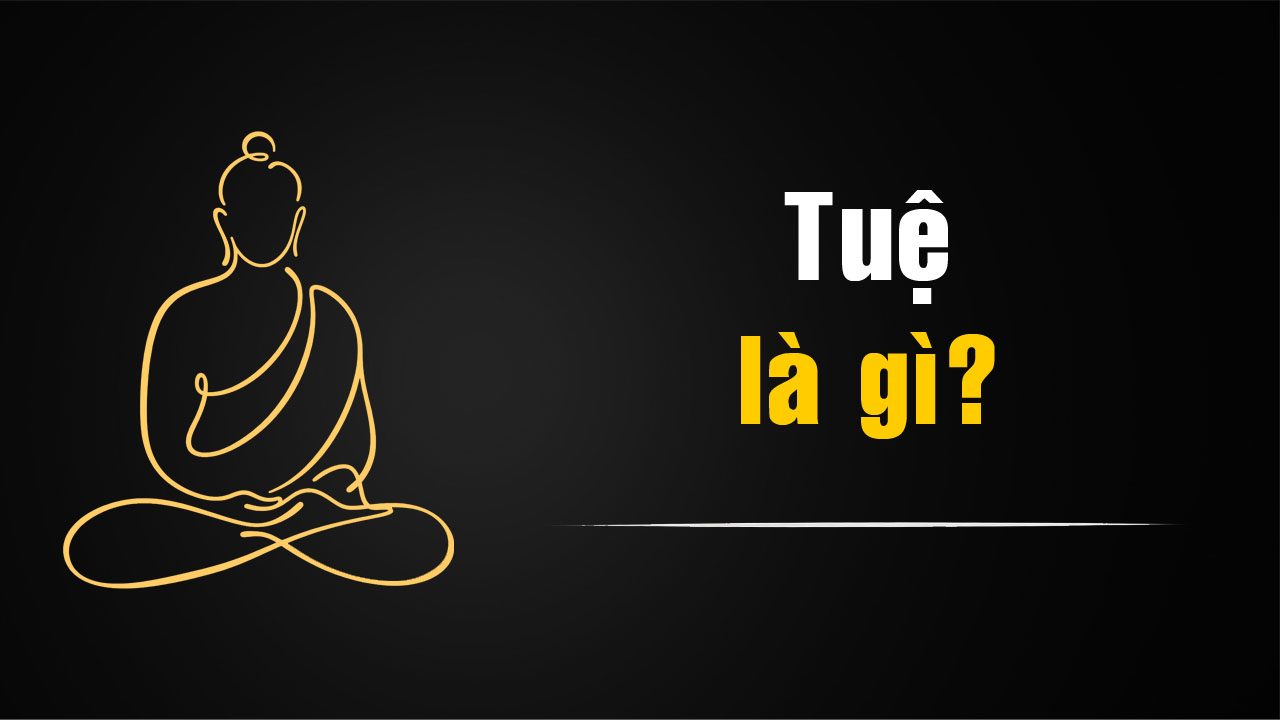 Tuệ là gì trong Phật giáo? Ý nghĩa của trí tuệ trong con đường tu tập