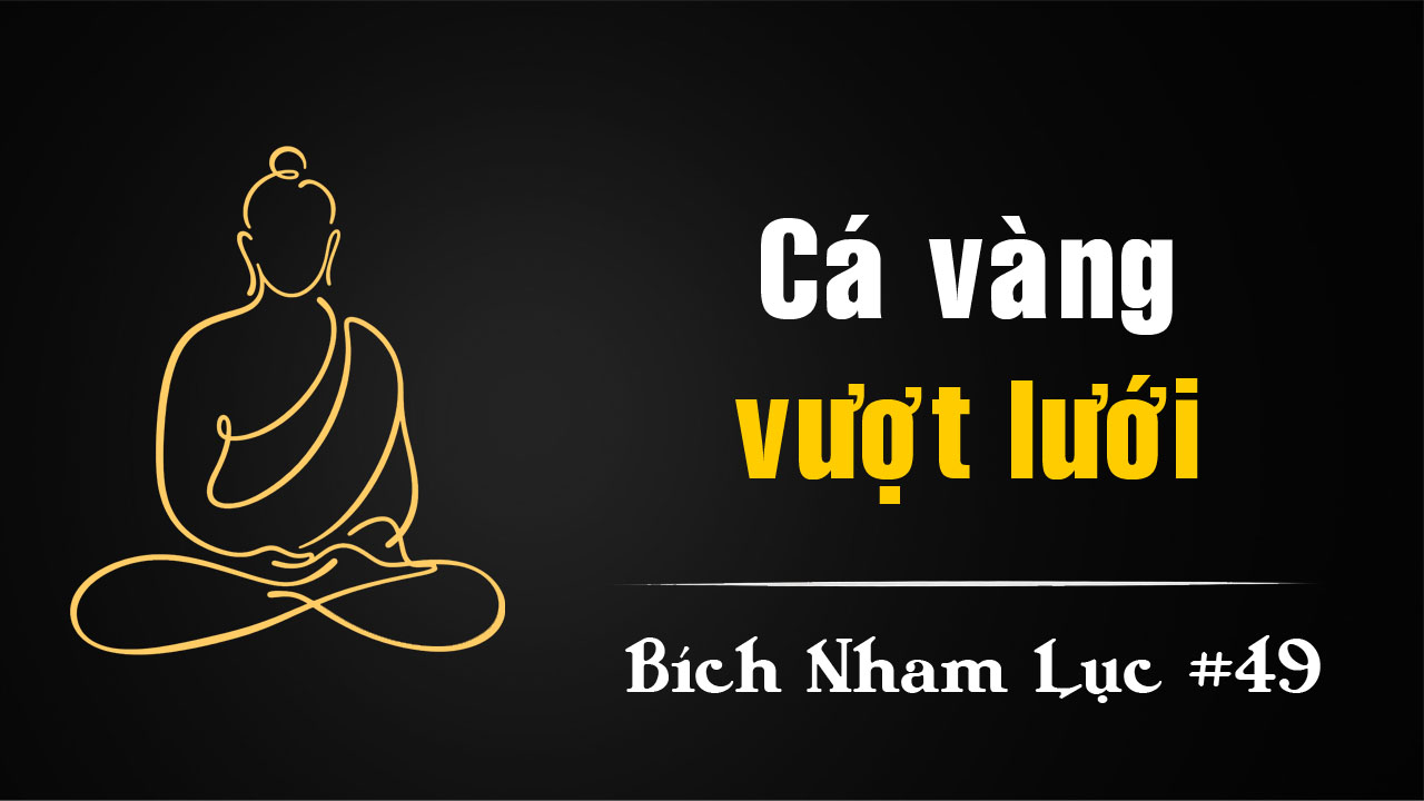 Bích Nham Lục Tắc 49: Cá Vàng Thủng Lưới