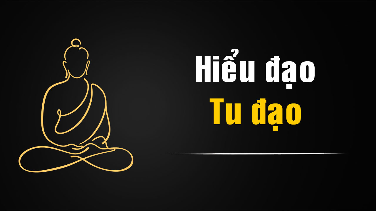 Hiểu Đạo Và Tu Đạo – Câu Chuyện Phật Giáo Về Sự Cân Bằng Giữa Học Và Hành