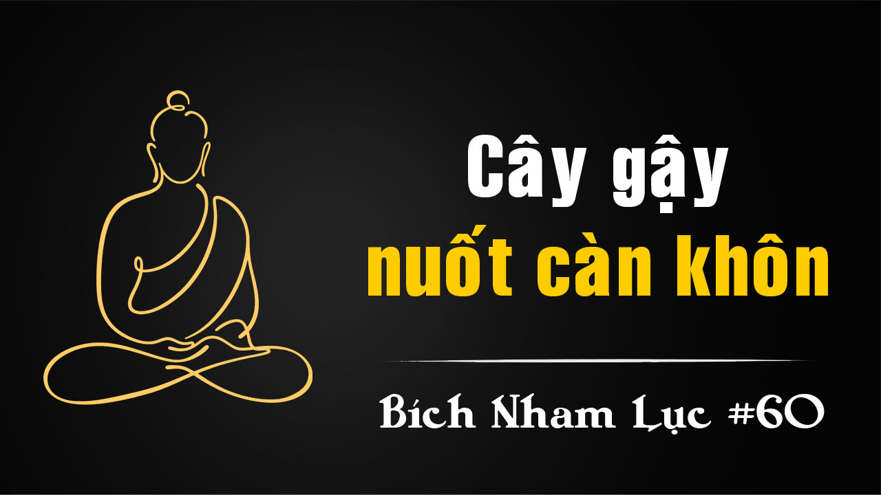 Bích Nham Lục Tắc 60: Vân Môn Cây Gậy Hóa Rồng
