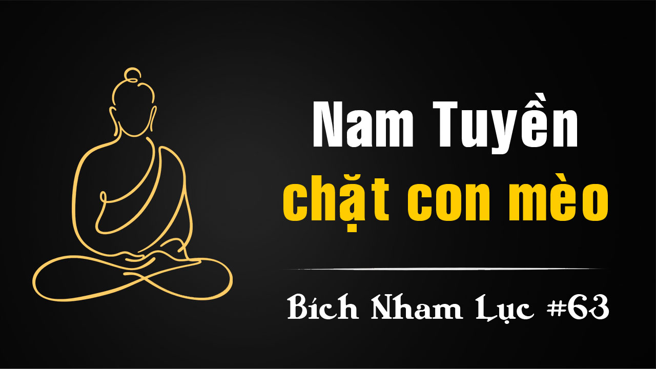Bích Nham Lục Tắc 63: Nam Tuyền Chặt Con Mèo