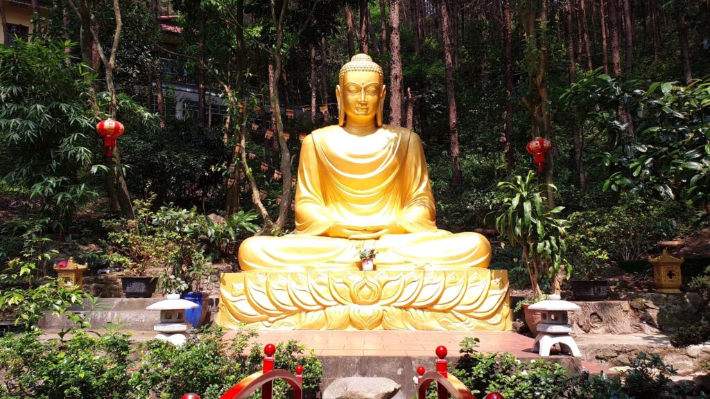 647380968 26149065201455050 8302292828839312782 n