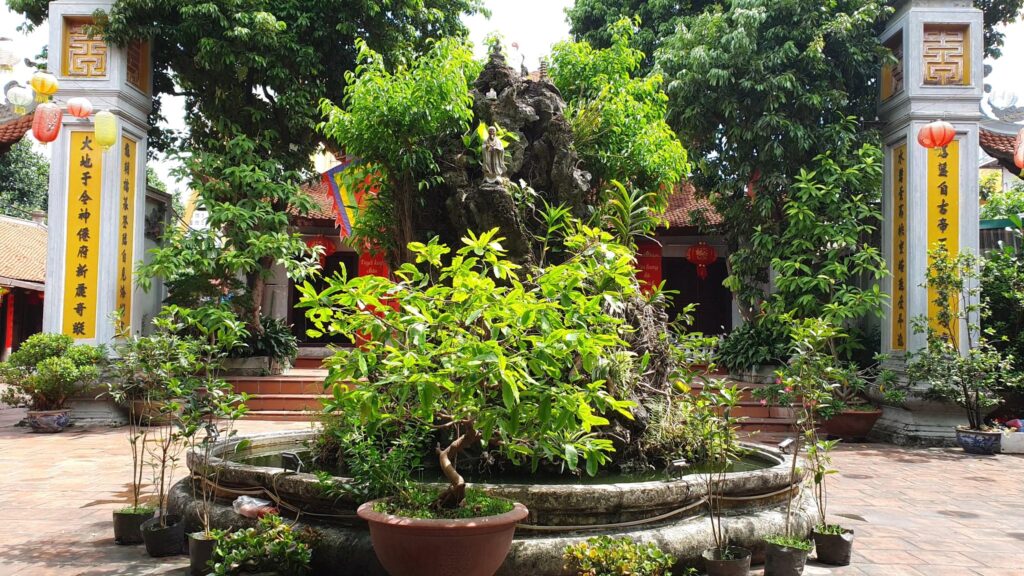 647394657 26149064021455168 396381231291754836 n