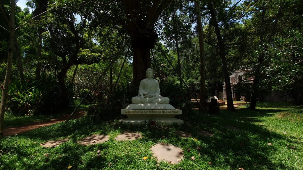 647506365 26149062838121953 8782471850465850161 n