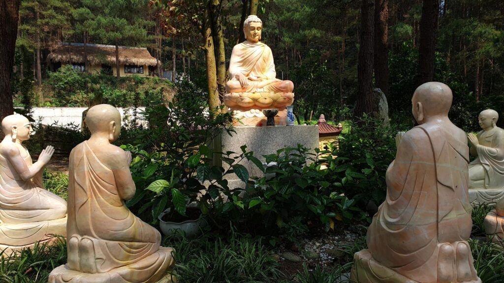 648064016 26149065064788397 8337765136841367002 n