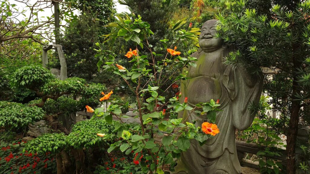 648243737 26149060738122163 1325034462059571363 n