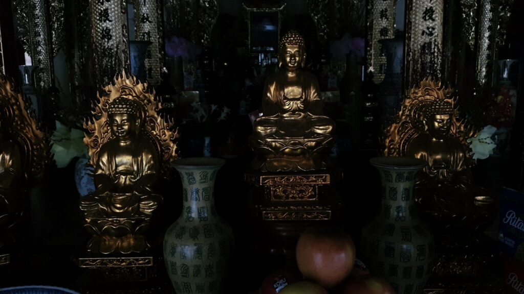 648661919 26149060421455528 3281228475794917695 n