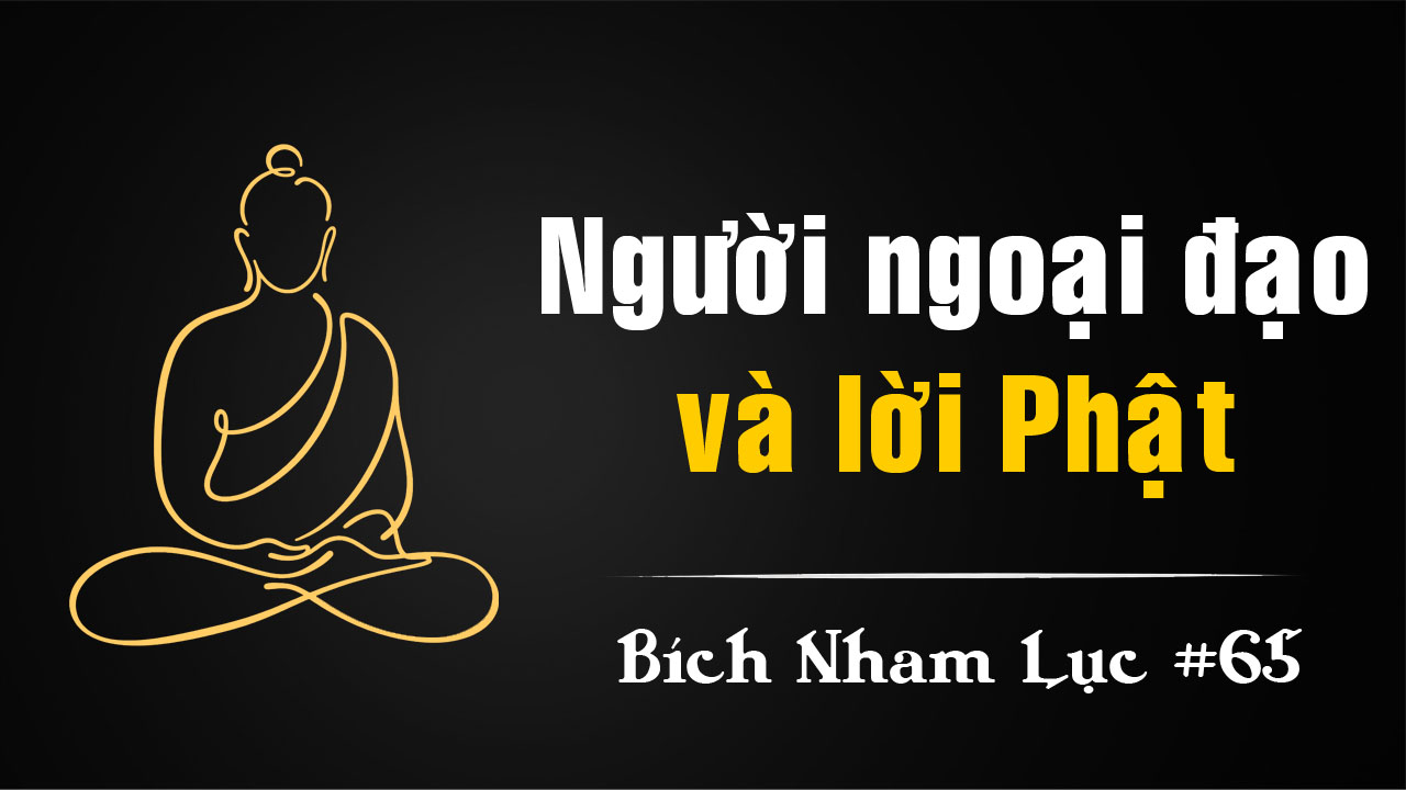Bích Nham Lục Tắc 65: Ngoại Đạo và Bóng Roi