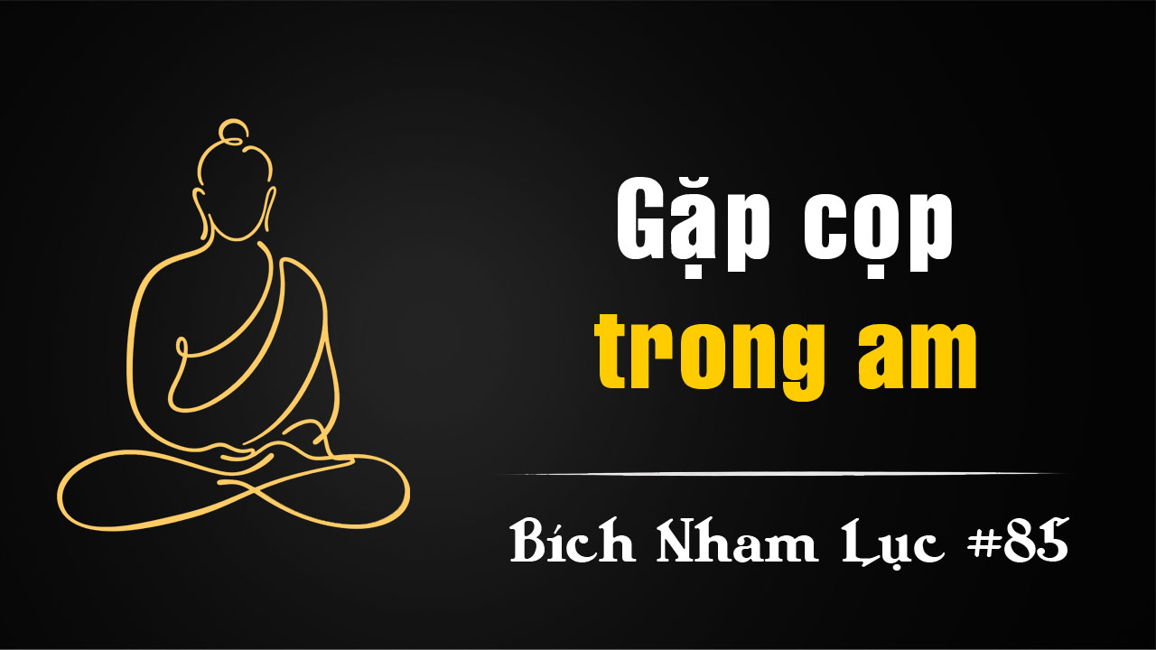 Bích Nham Lục Tắc 85 – Am chủ Đồng Phong làm tiếng cọp