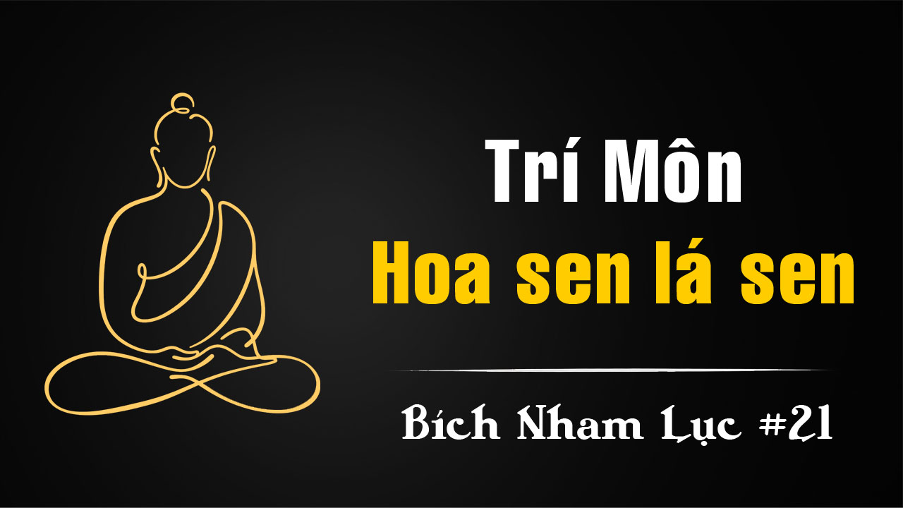 Bích Nham Lục Tắc 21: Hoa sen lá sen – công án của Thiền sư Trí Môn