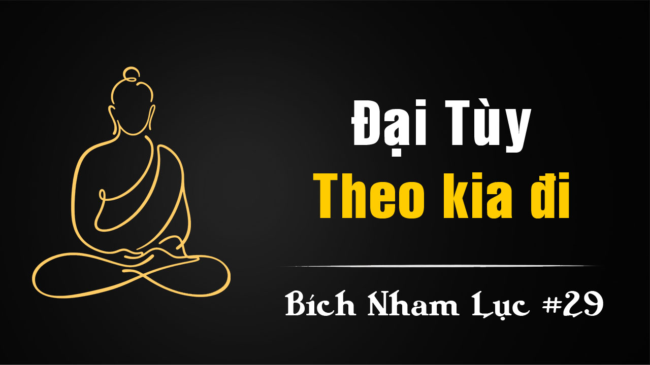 Bích Nham Lục Tắc 29: Đại Tùy “Theo kia đi”