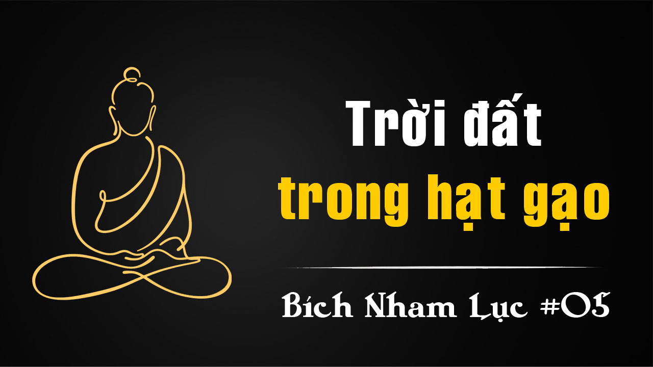 Bích Nham Lục Tắc 5 – Tuyết Phong lúa gạo